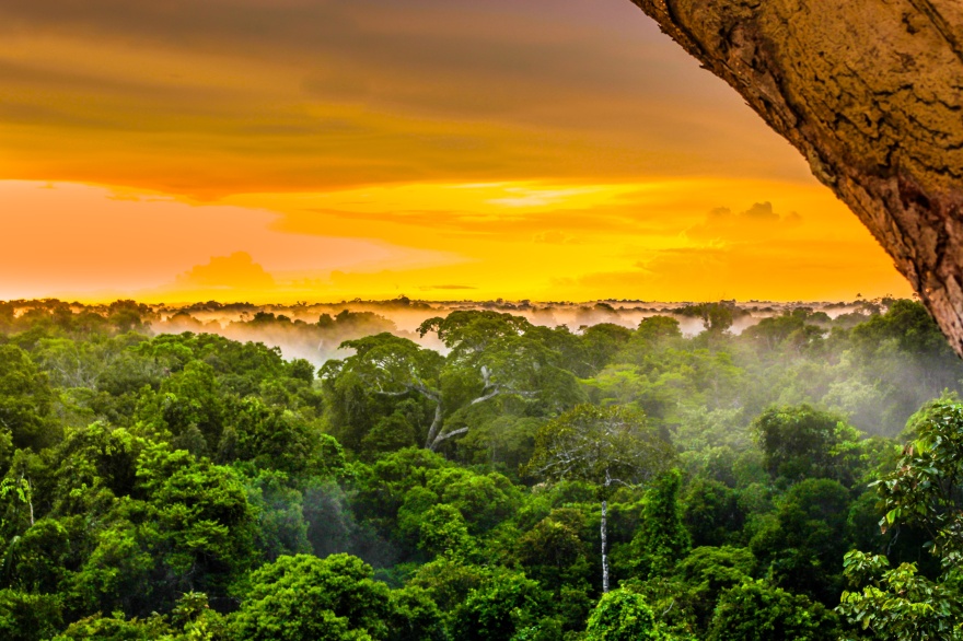 sunset in the brazilian rainforest of Amazonas