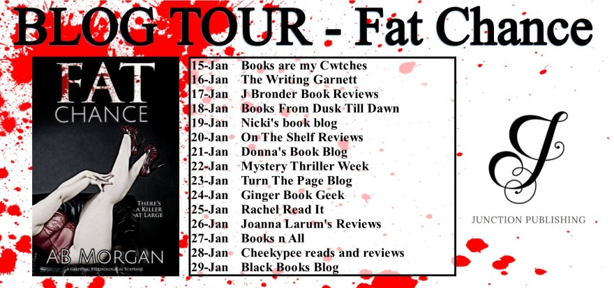 blog tour banner - fat chance